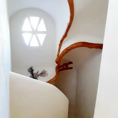 Pantogia Villa Porto Cervo